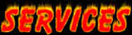 service.jpg (6402 bytes)